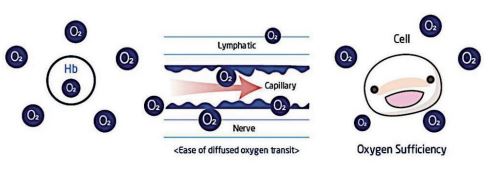 Chiropractic Angola IN Hyperbaric Oxygen Diagram